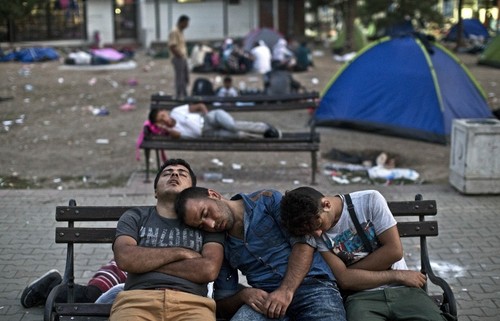 Главы МВД стран ЕС утвердили квоты распределения беженцев - ảnh 1